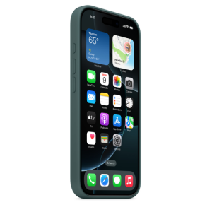 iPhone 16 Pro Max Silicone Case with MagSafe - Image 6